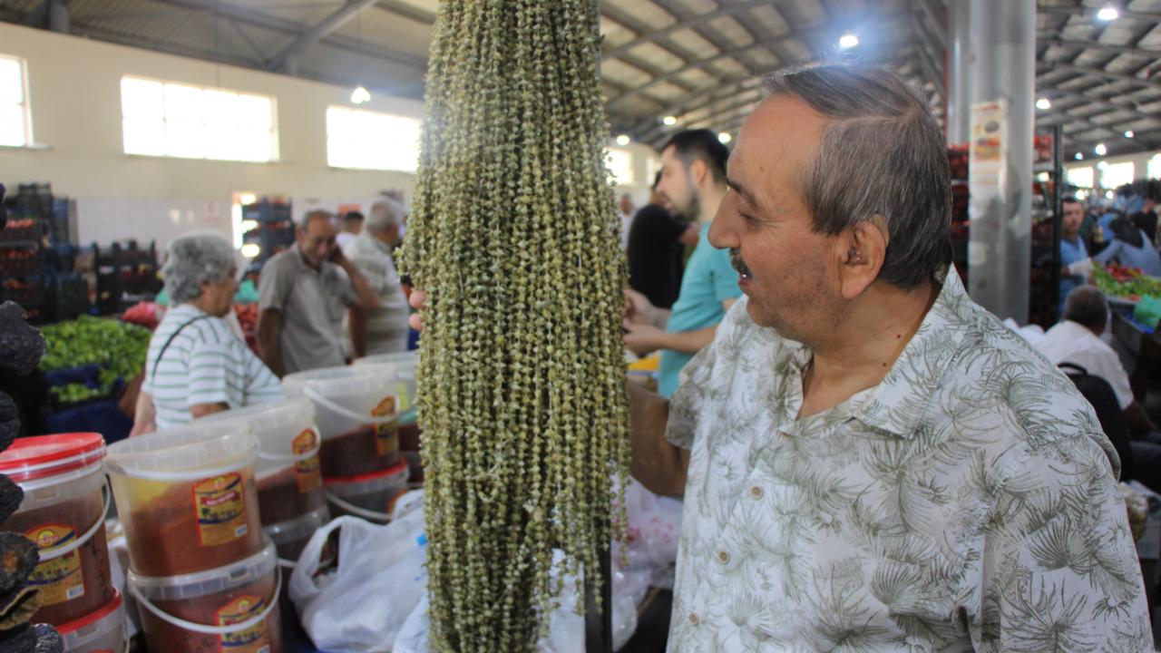 Hızır'ın cebinden düşen şifa kaynağı: 100 gramı 300 TL'den satılıyor