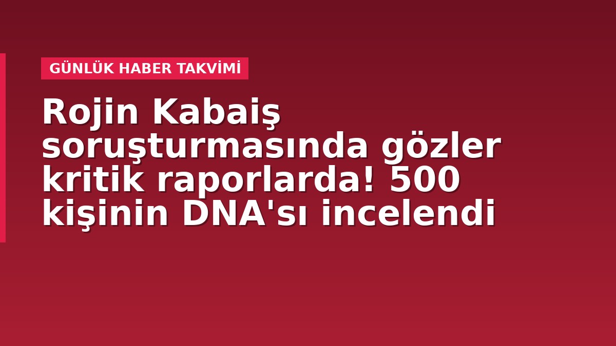 Rojin Kabaiş soruşturmasında gözler kritik raporlarda! 500 kişinin DNA'sı incelendi